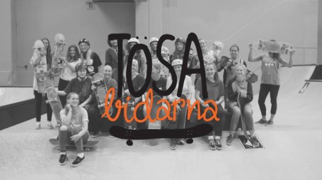 tösabidarna2013