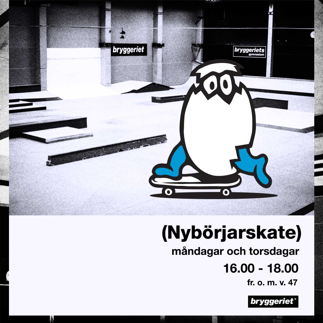 nybörjarskate