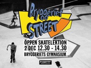 skatelesson