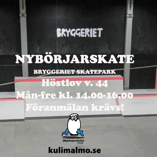 nybörjarskate-höstlov2020