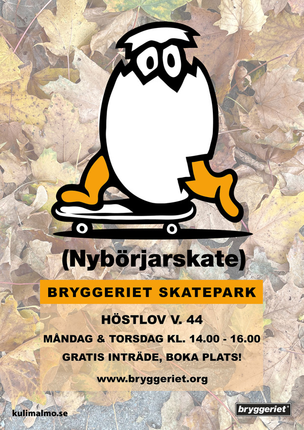 nybörjarskate-höstlovHT21