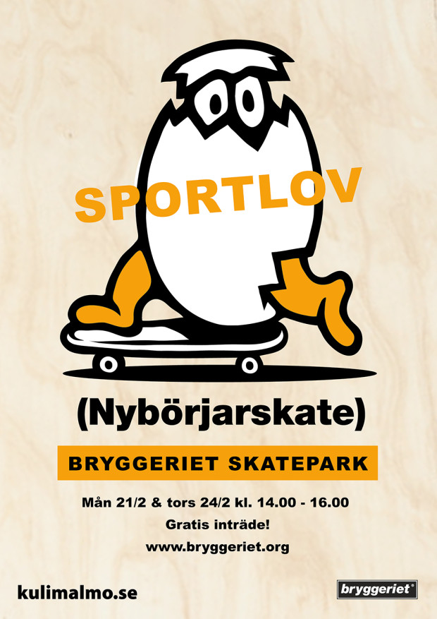 nybörjarskate-sportlovVT2022