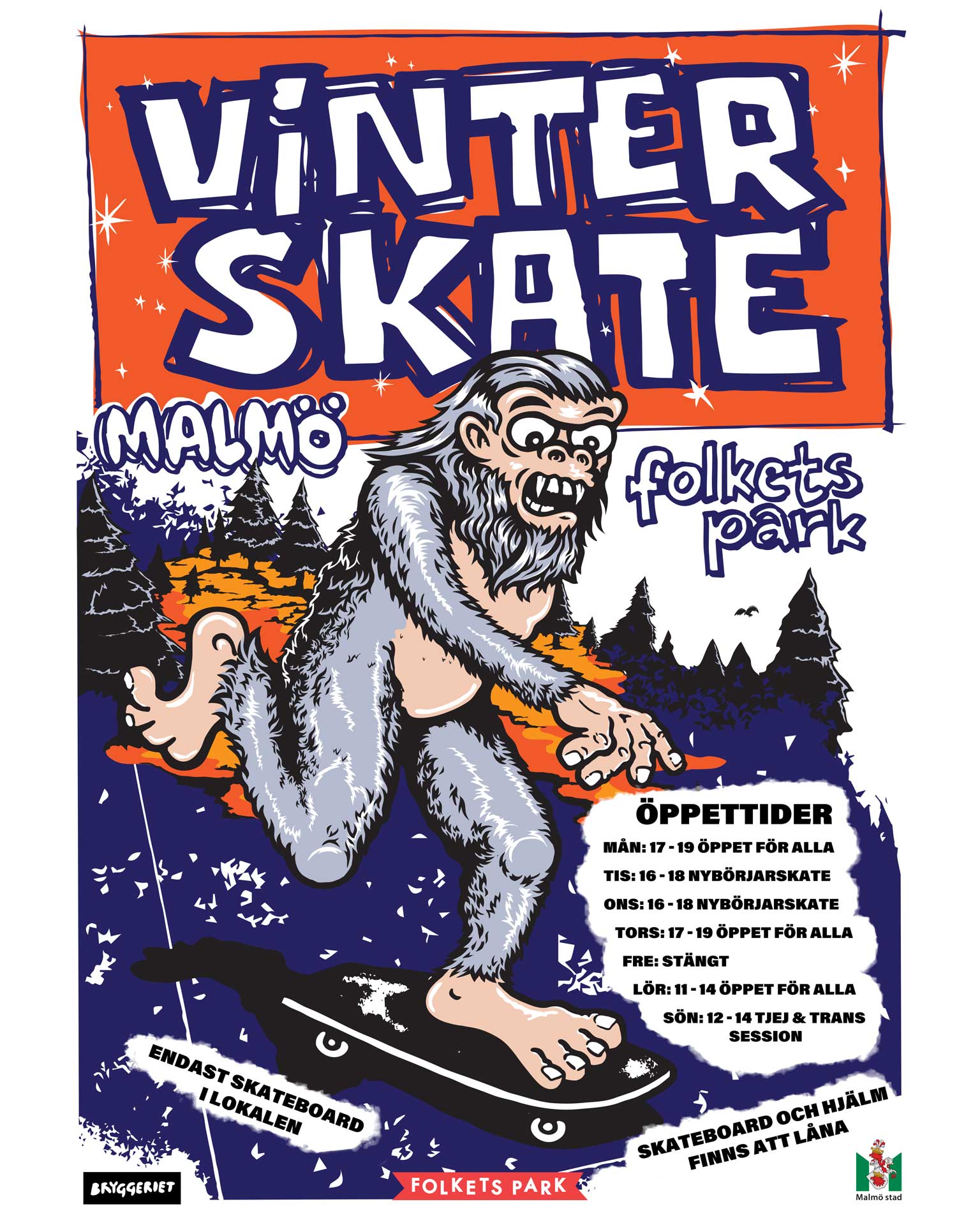Vinterskate_insta