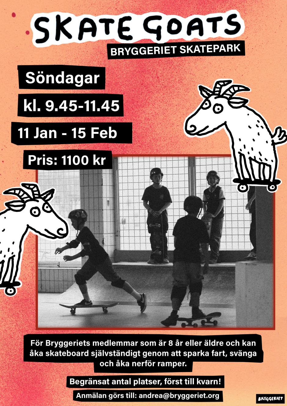 skate goats jan 2025