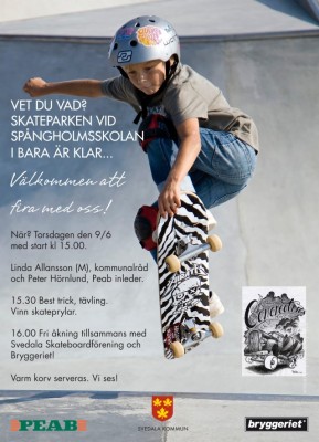 Skate-Bara1-640x885